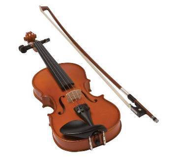 Professional violin 