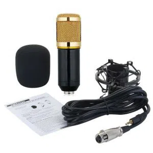 BM-800 Professional Studio Condenser Sound Recording Microphone