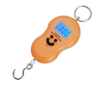 Portable electric weight scale 