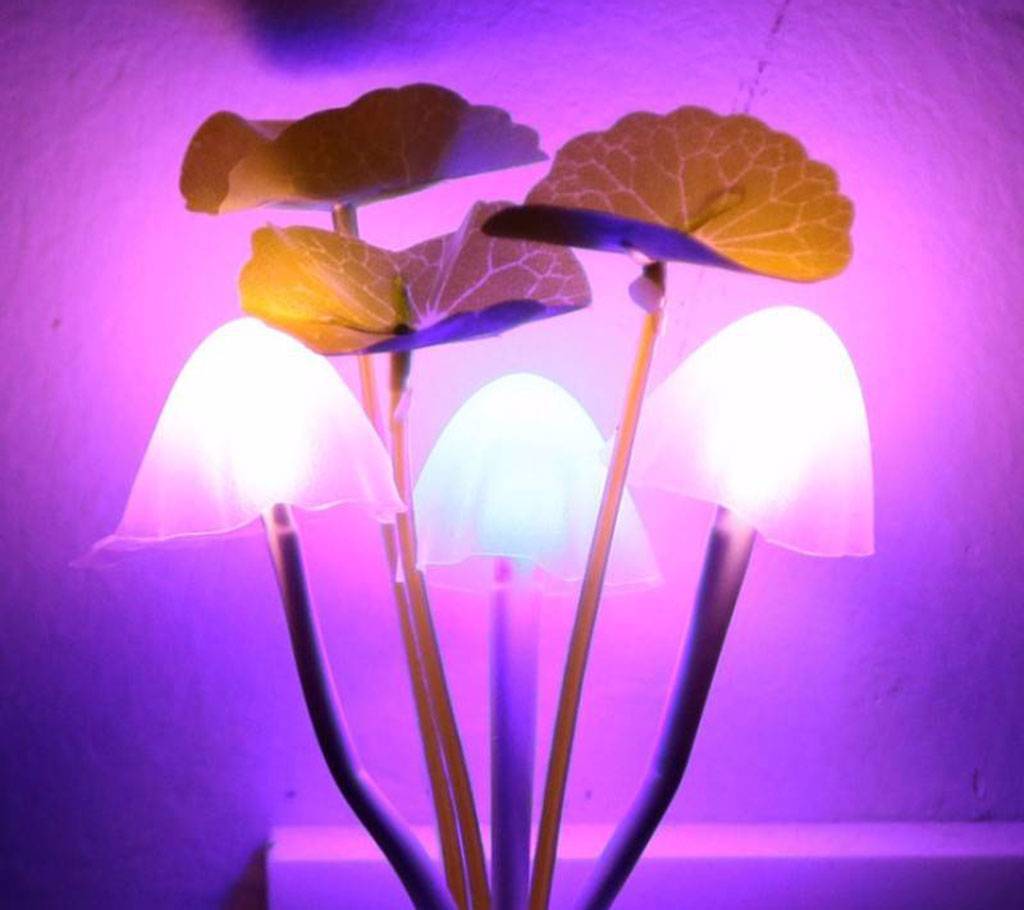 Avatar ইলেকট্রিক মাশরুম LED নাইট লাইট বাংলাদেশ - 537124