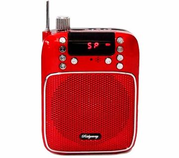 Rechargeable Speaker with FM radio