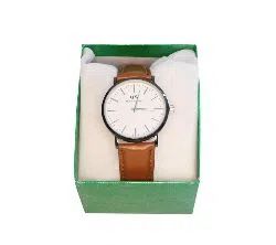 dw-mens-watch-copy