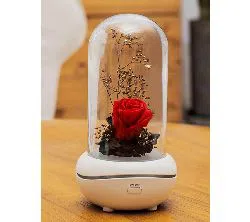 Preserved Rose Lamp, Aromatherapy Mechine Aroma Essential Oil Diffuser