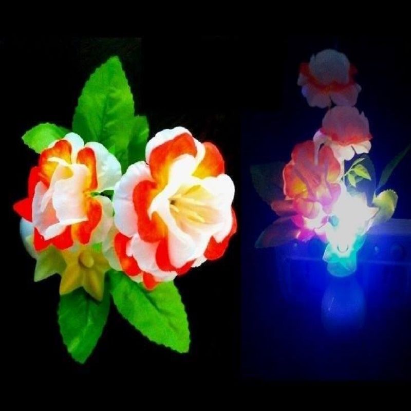 কালারফুর LED নাইট লাইট ল্যাম্প বাংলাদেশ - 324448