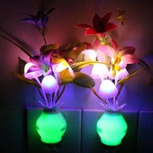 Dim Mashroom Light Green Flower - Multicolor