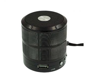 Mini Bluetooth Speaker WS-887, Support SD Card, TF card, Built-in FM Radio 