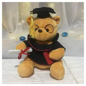 Teddy Bear Graduation Doctor