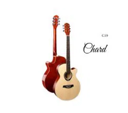 chard-c19-acoustic-cutaway-guitar