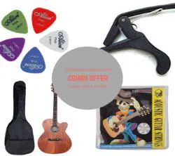 signature-gogos-acoustic-guitar-wooden