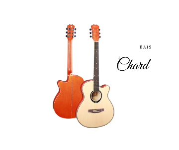 Chard EA-12 Acoustic Cutaway গীটার