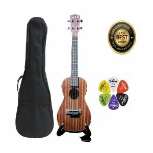 AXE_24 inches Concert Size Ukulele New Edition 2020