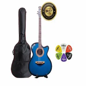 Semi-Electric Signature Guitar TK-Blue
