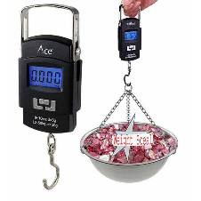 Electric Hanging Wet Scale - 50kg