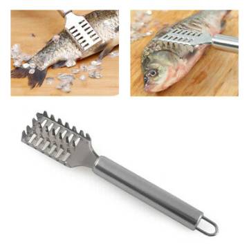 Stainless Steel Fish Scale Remover Cleaner