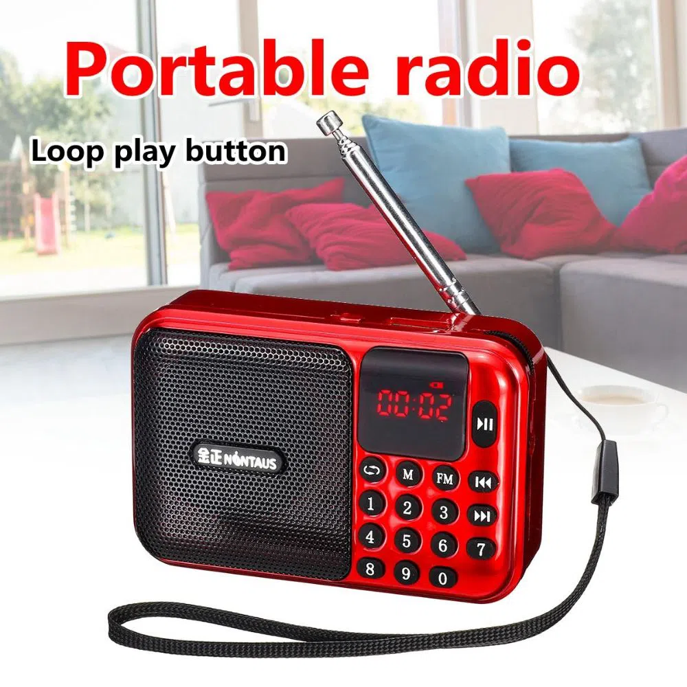 Portable mini radio 