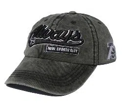 ALWAYS 75 3D Embroidery Logo Wash Curved Cap
