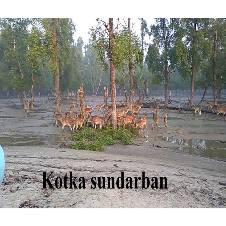 সুন্দরবন ভ্রমন