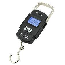 Electric portable scale
