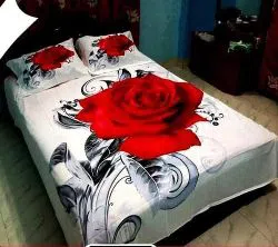 Double Size Bed Sheet and Pillow Cover