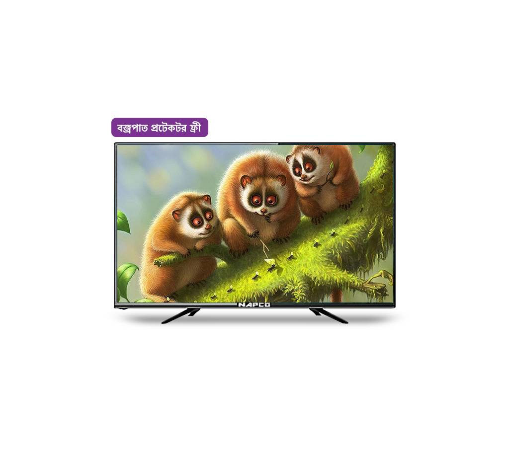 19'' Napco HD LED টিভি বাংলাদেশ - 790984