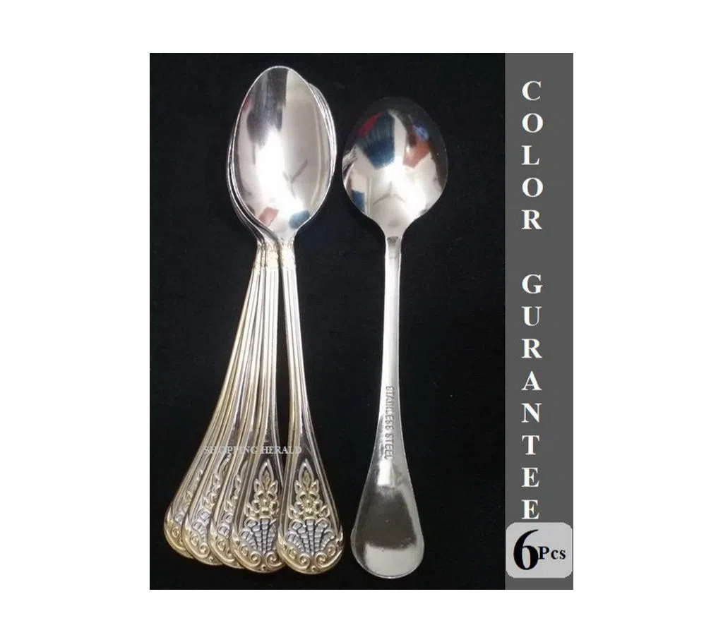 Stainless Steel Spoon Set- 6 Pcs