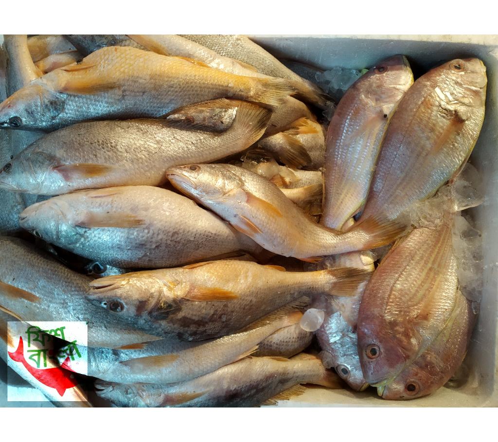সামুদ্রিক পোয়া মাছ ১ কেজি বাংলাদেশ - 856970