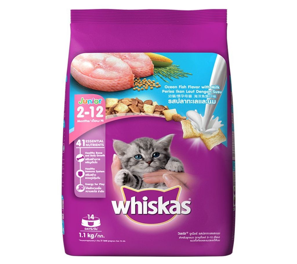 Whiskas Junior Ocean Fish With Milk ক্যাট ফুড - 1.1kg - Thailand বাংলাদেশ - 917871