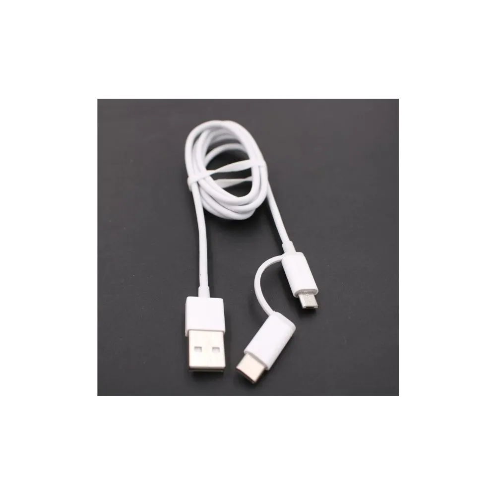 2 in 1 Type C & Micro Fast Charging Data Transmission Cable