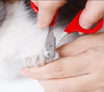 1Pcs প্রফেশনাল পেট পাপি নেইল ক্লিপার Toe Claw Scissors Claw For Small Dogs Cats