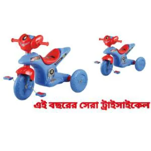 Baby Tricycle - Strong and Energetic (1 pc)