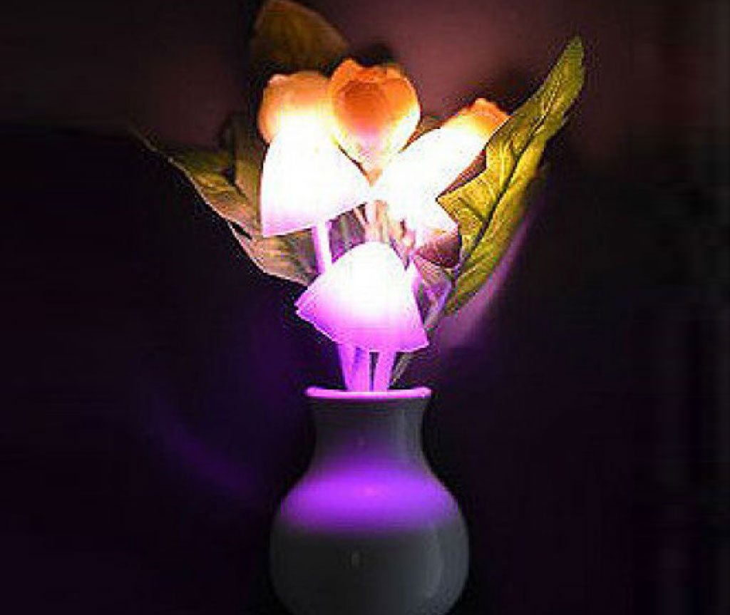 Flower LED নাইট লাইট বাংলাদেশ - 33212