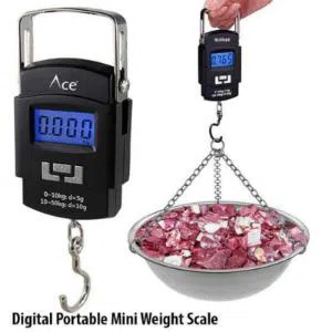 Portable Digital Weight Scale