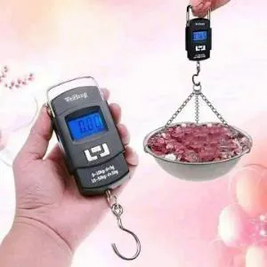 Portable Hand Scale