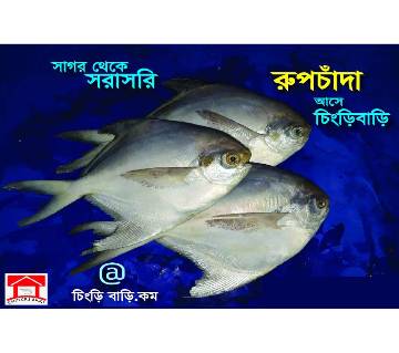 রূপচাঁদা মাছ 1 kg