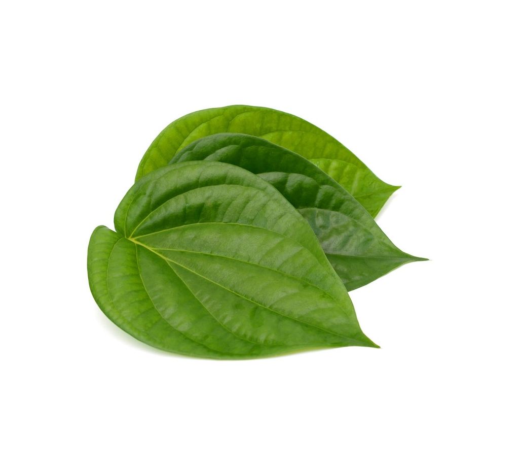Betel Leaf (Pan) – 0.5 bira বাংলাদেশ - 1122738