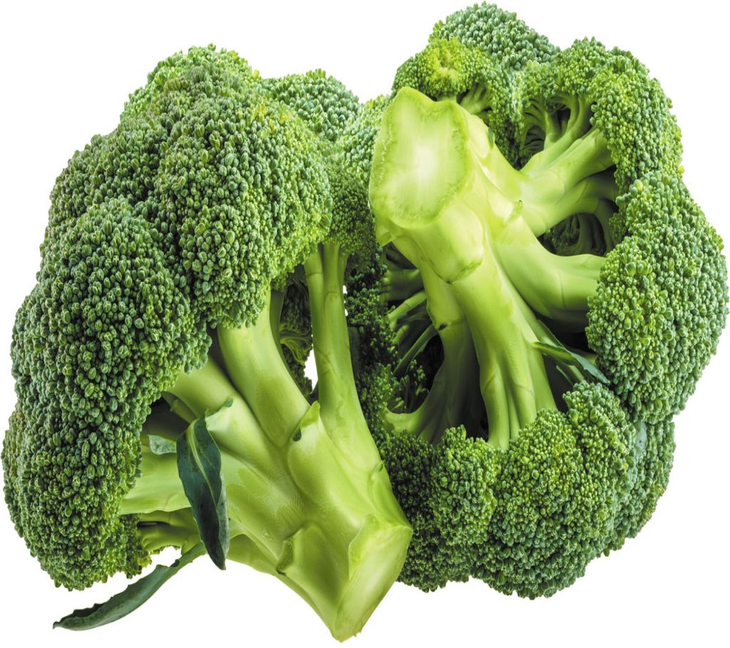 Broccoli – 1pcs বাংলাদেশ - 1122769