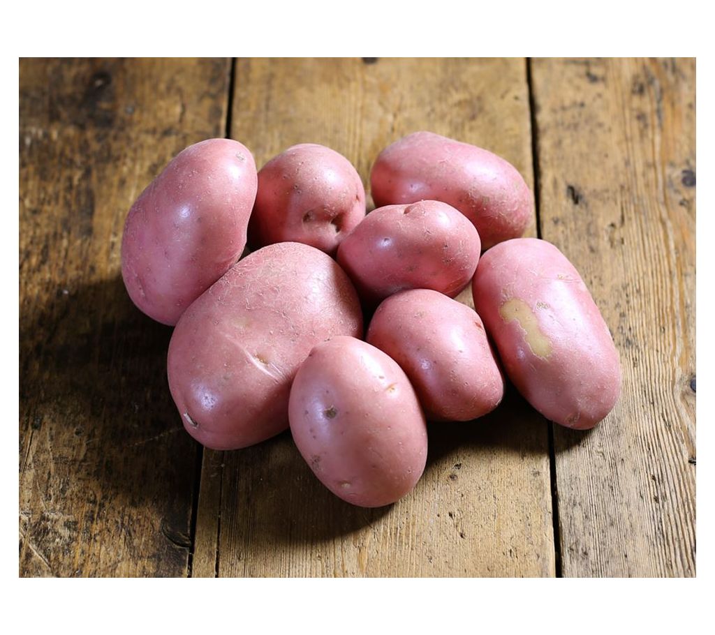 Red Potato – 1kg বাংলাদেশ - 1122802