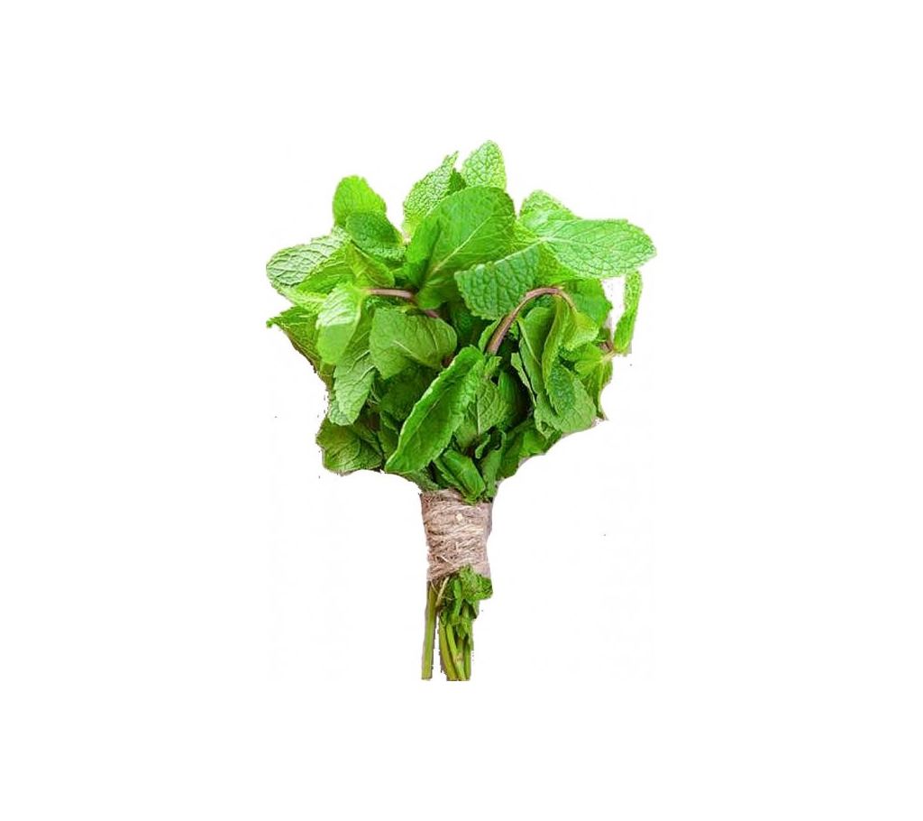 Mint Leaves ( Pudina Pata ) – 1 bundle বাংলাদেশ - 1122814