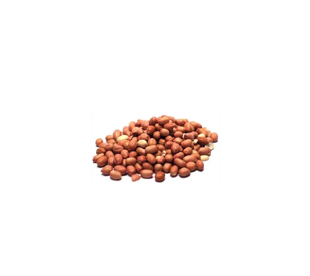 Peanut Raw (Kacha Cheena Badam) – 100gm বাংলাদেশ - 1123041