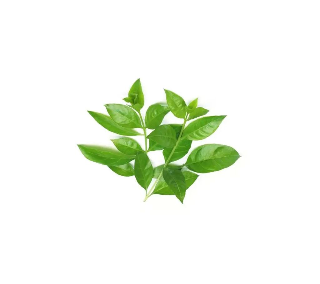 Mehendi Leaves (Mendi Pata) – 3 Bundles বাংলাদেশ - 1123057