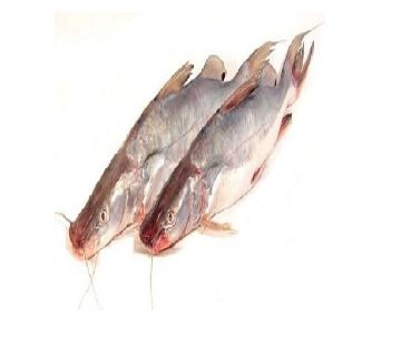 AYER FISH  (1-1.999) KG/PC-1kg