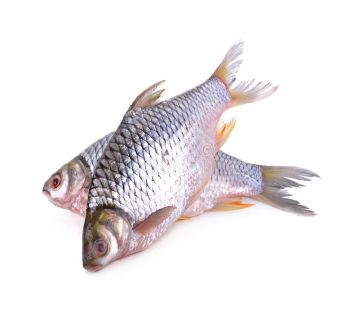 PUTI FISH LOCAL-1kg