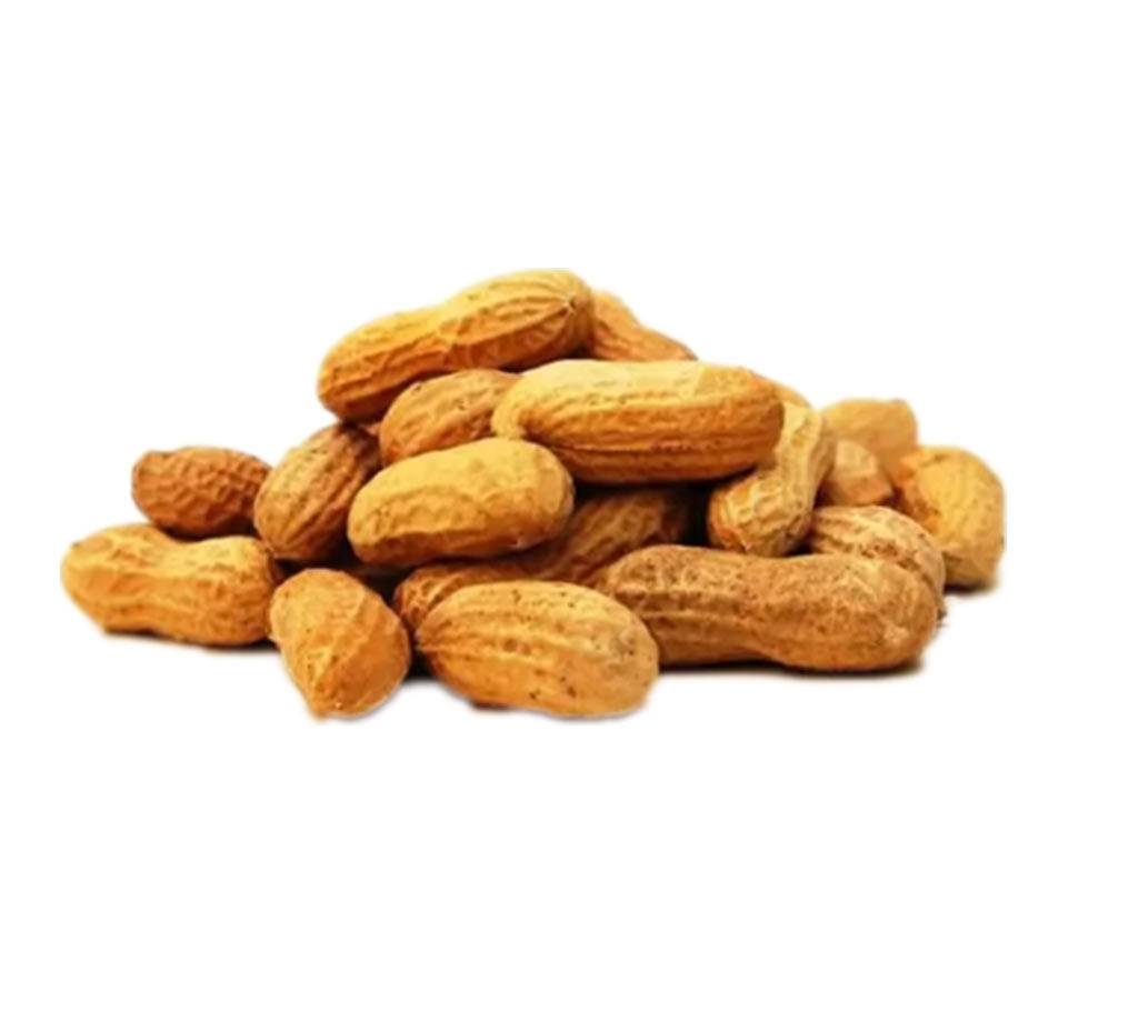 Peanut (Raw) - 100 gm বাংলাদেশ - 1136199