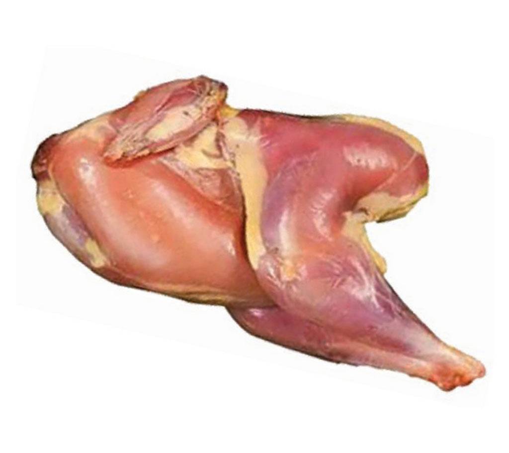 Deshi Chicken 500gm to 700gm - 1 PC বাংলাদেশ - 1134524
