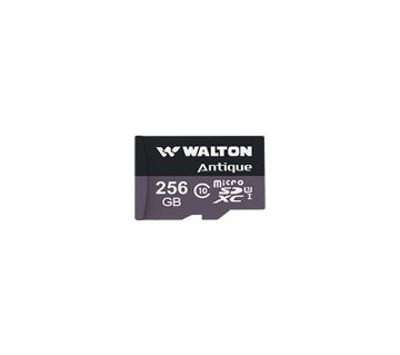 Walton Micro SD Card- WSD25601 (256 GB)