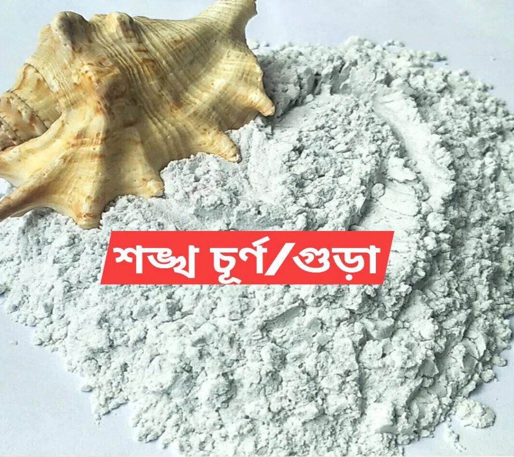 Conch Shell Powder-100 gm