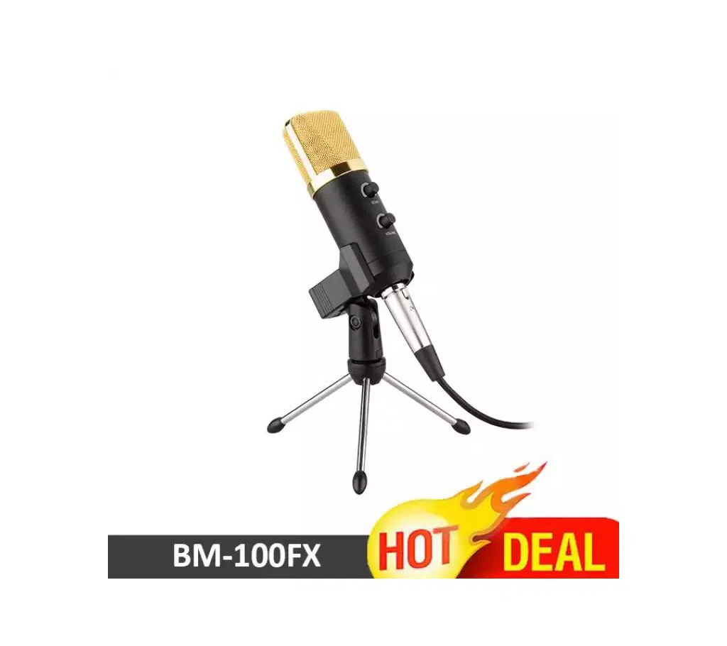 Condenser Microphone BM-100FX   Condenser Microphone For You tuber And Recording Studio BM100-FX Mic With Echo And Volume Control