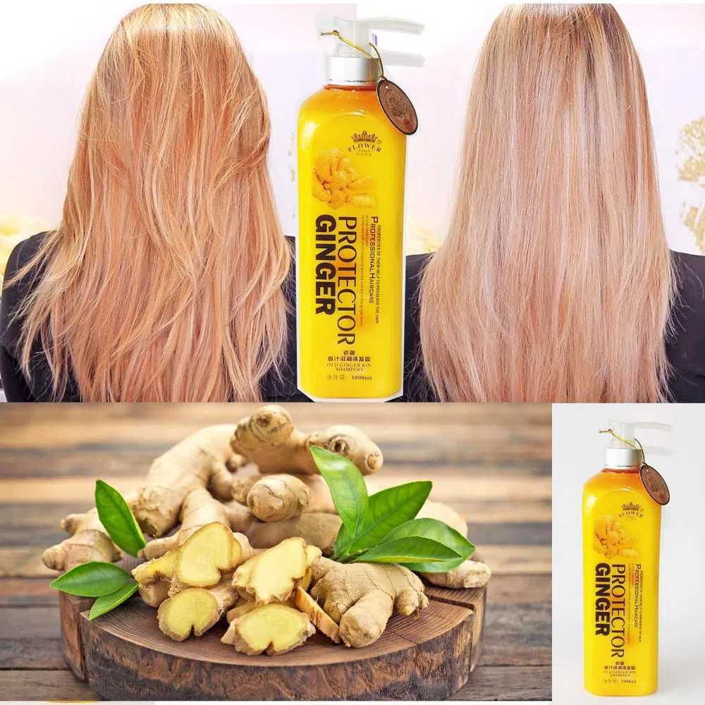 Protector Ginger Shampoo for Anti Dandruff  500ml Thailand