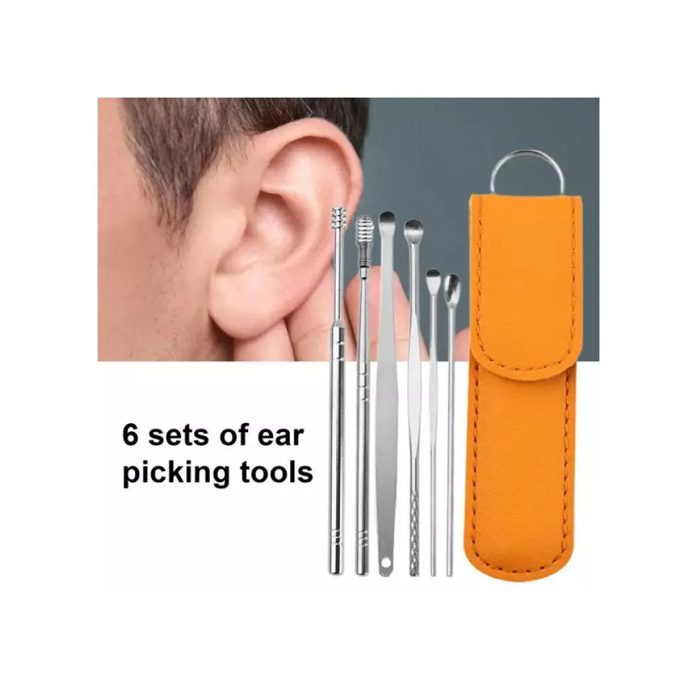 6PCS Ear Pick Set Portable Ear Cleaner Set Stainless Steel With Lather Case