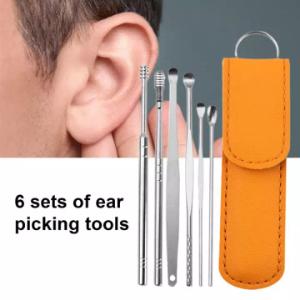 6PCS ইয়ার পিক সেট Portable Ear Cleaner Set Stainless Steel With Lather Case